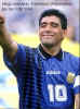 Maradona02td-94.jpg (29451 Byte)