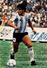 Maradona22td.jpg (17383 Byte)