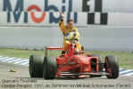 Mschumi01td-97.jpg (40626 Byte)