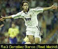 Raul029td.jpg (14753 Byte)